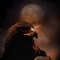 Eagle Wounded
