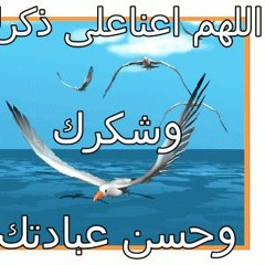 ���� ������ � ��� ����عبدالولي الاركاني