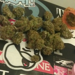 CAUZE