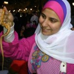 Alaa M Samy