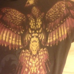ThunderPhoenix