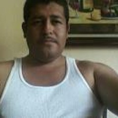 PANCHO 15