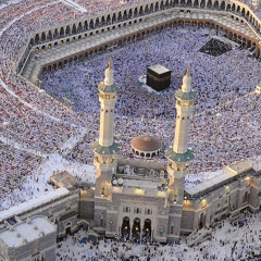 عمر انور النبراوى