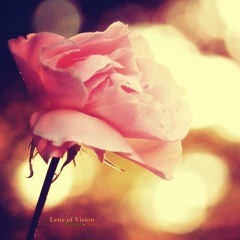 Seungri Panda Victori