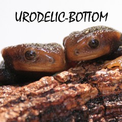 Urodelic-Bottom