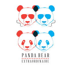 Panda Bear Extraordinaire