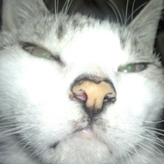 カゲロウデイズ