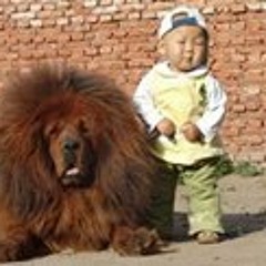 Sebastiaan Wouters 1