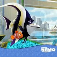 user776621726