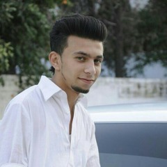 Syed FaizanAli Shah Naqvi