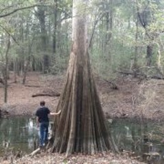 Stefan Vonstralendorff