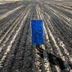 Alireza Ghaseminejad