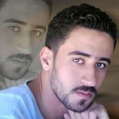 Fekry Mohammed Adel