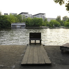 reingeschaut