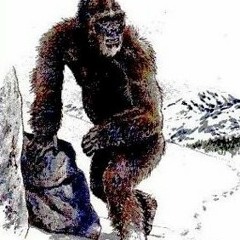 The Yeti is a Sasquatch