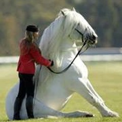 Sarah Rabie Elkhateeb