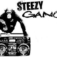 SteEZyGang
