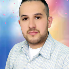 sweidgroup ameensweid