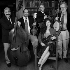 Professors Of Bluegrass