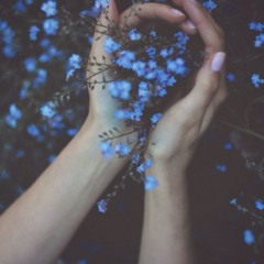 niloumaloo