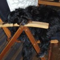 Elisabeth Karlsson 2