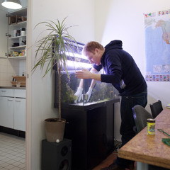 Daan Spoek