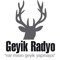 geyikradyo