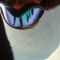 DJTee