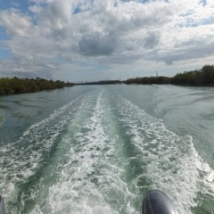 Intellect Productions