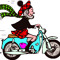 Joedain