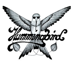 Hummingbird-Band