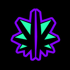 ElectronicChronic