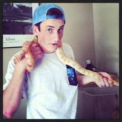 Chip