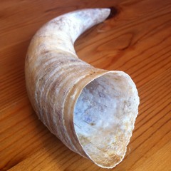 The Horn Project