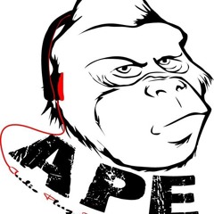 AUDIO PLUG ENTERTAINMENT