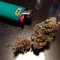 AustrianWeed