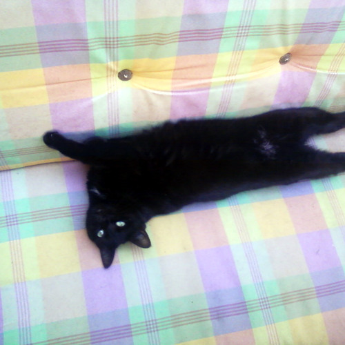 Kamel Boukrine - Ghazel