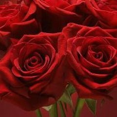 Hala Roushdi Elhadidi