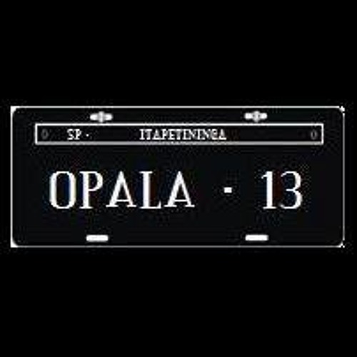 opala13’s avatar