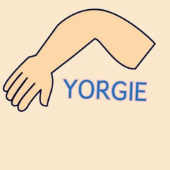 yorgie