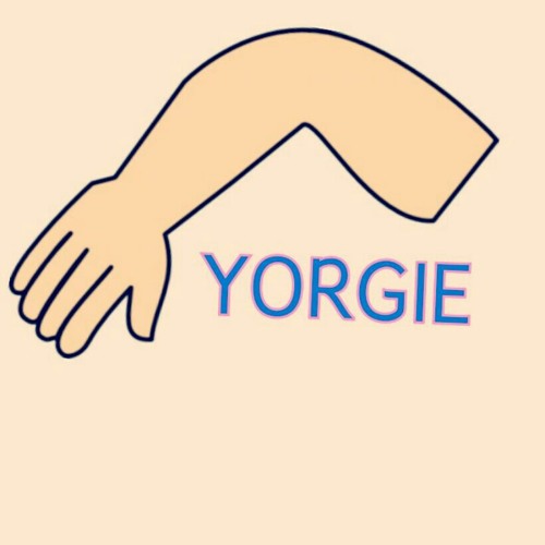 yorgie’s avatar