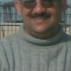 Baher Elhadidi