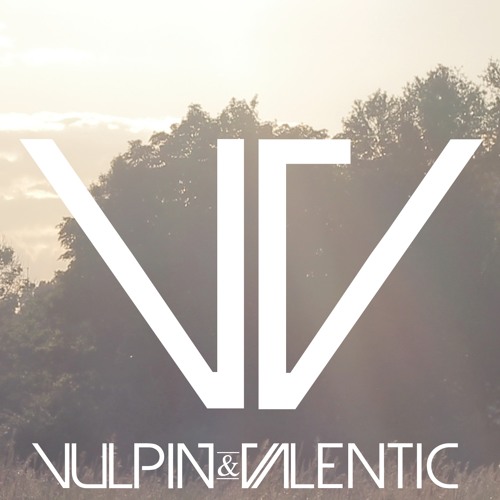 VULPIN’s avatar