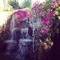 user290545526