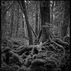 Jukai - The Witching Hour