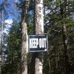 reachforthe