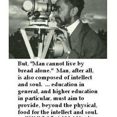 Maddrass Fari Collie