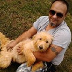 sertanejo