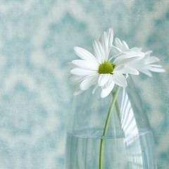 Ranona Madkour