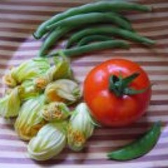 Libertina Marco Growlove